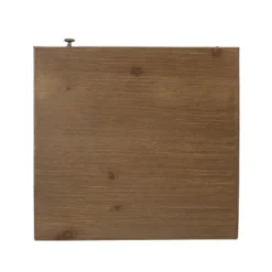 Pilster Contemporary End Table With Storage Walnut/Natural/Black - Christopher Knight Home -Living Furniture GUEST 1ca7947d 4d33 494a 9765 9ce1778faaa6